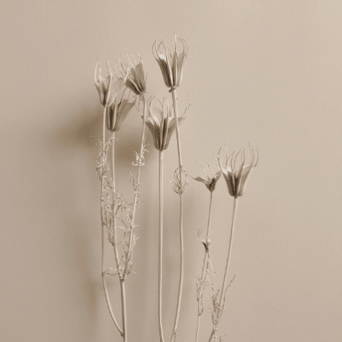 naturbell-carrusel-3