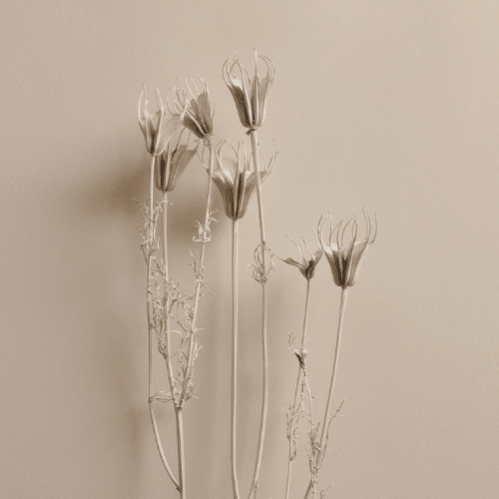 naturbell-carrusel-3